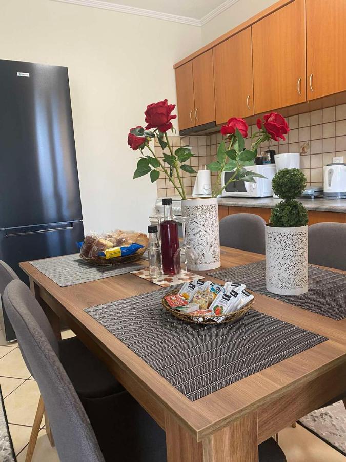 Bakopoulos Resort.Ενα Όμορφο Διαμέρισμα Με Τζάκι Trikala  Luaran gambar